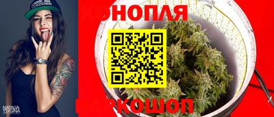 прущие грибы Беслан