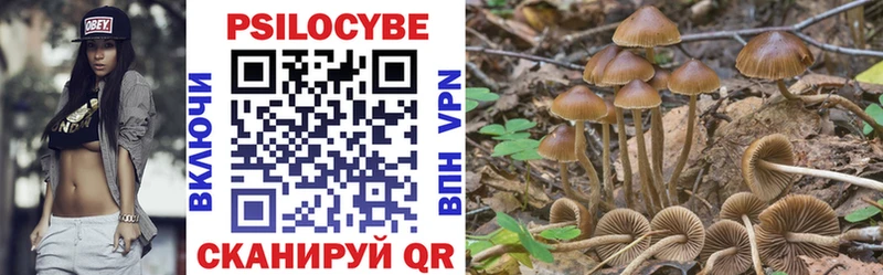 MEGA маркетплейс darknet какой сайт Псилоцибиновые грибы мухоморы Горячий Ключ