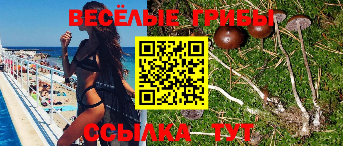 Галлюциногенные грибы Magic Shrooms Горячий Ключ