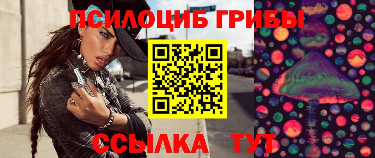 Псилоцибиновые грибы мицелий  купить  цена  Горячий Ключ  Вход с VPN 